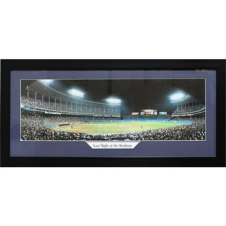 Yankee Stadium Musical Globe - MLB Yankee Stadium Panoramic Frame, 15x35