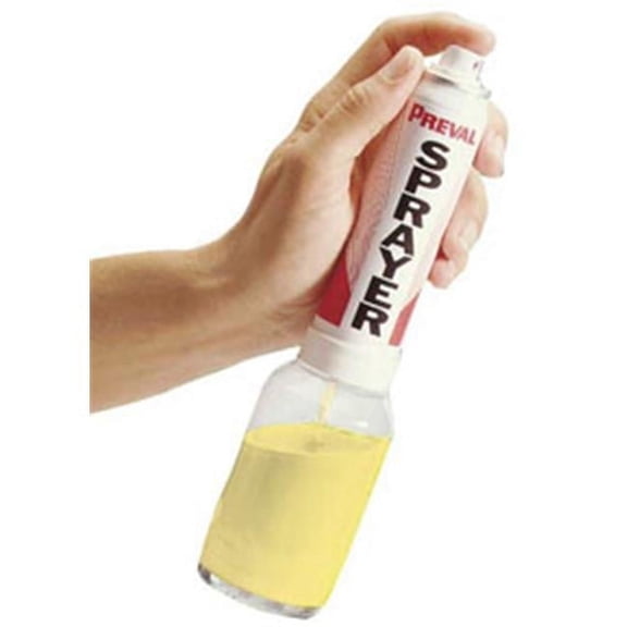 267 Spray Gun