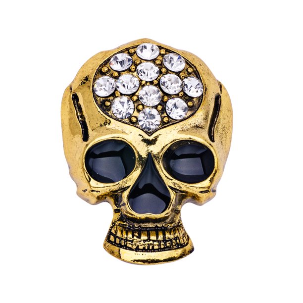 Broches para Mujeres Gold Plata Aleoy Patrimonio Halloween Modelo Moderno Patrón de Esqueleto Accesorios de chal para Homme Party Antiguo Oro Noticed AP004669-01