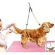 thumbnail image 1 of Generic Pet Grooming Table Rope Pet Grooming Leash Neck And Hock Holder Dog Grooming Buckle, 1 of 3