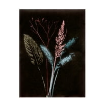Canvas Wall Art - Pernille Folcarelli 'Bouquet 4 Dark' Wall Art for Living Room, Bedroom, or Office Décor by Trademark Fine Art - 18 x 24 Inches