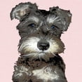 thumbnail image 2 of CafePress - Miniature Schnauzer Long Sleeve Infant T Shirt - Long Sleeve Infant T-Shirt, 2 of 2