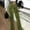 Army Green, variant on ZZwxWA Velvet Pants Women, Womens Velvet Pants Vintage High Waist Elegant Soft Stretch Yoga Loungewear Bell Bottom Flare Pants Solid Color