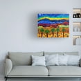 thumbnail image 3 of Cathy Carey 'Transformation' Canvas Art, 3 of 3