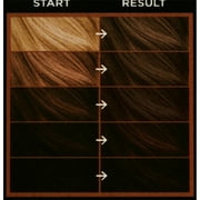 Natural Brown Permanent Kit