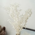thumbnail image 3 of 5X Flores de Ruscus Secas para Siempre de 45cm DecoracióN Floral DIY Ramo de Flores Secas para DecoracióN del Hogar de Boda, 3 of 5