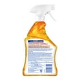 thumbnail image 2 of Lysol All-Purpose Cleaner, Sanitizing and Disinfecting Spray, To Clean and Deodorize, Mango & Hibiscus Scent, 32Oz (Pack of 2), 2 of 6