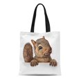 thumbnail image 1 of NUDECOR Canvas Tote Bag Cute Squirrel Hanging Over Blank Sign Copy Space As Durable Reusable Shopping Shoulder Grocery Bag, 1 of 1