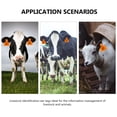 thumbnail image 2 of Shisuyan 100pcs Animal ID Tag for Effective Tracking of Farm Animals with Rectangular Shape, 2 of 9
