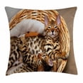 thumbnail image 1 of Kitten Throw Pillow Cushion Cover, Little Bengal Cats in Basket Cuddly Purebred Kitties Domestic Feline, Decorative Square Accent Pillow Case, 18 X 18 Inches, Brown Light Brown Beige, by Ambesonne, 1 of 2