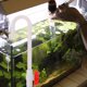 thumbnail image 4 of RENACLIPY Hanging Type Water Changer Para Acuario Con Práctico Y Mango Antideslizante, 4 of 8