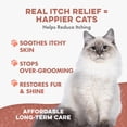 thumbnail image 5 of BestLife4Pets Cat Itchy Skin Relief & Hair Loss Supplement, Holistic Skin Allergy Relief - 400 Pills, 5 of 14