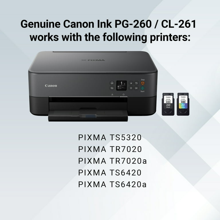 Canon PG-260 / CLI-261 Value Pack - Walmart.com