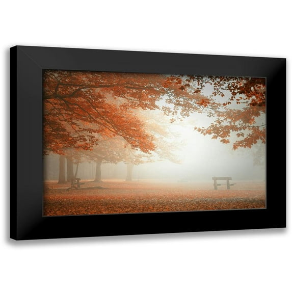 Dingemans, Saskia 18x13 Black Modern Framed Museum Art Print Titled - The wonders of nature