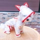 thumbnail image 1 of Chubasquero de arcoíris impermeable transparente talla M Teddy Bears impermeable para perros pequeños y medianos, 1 of 5