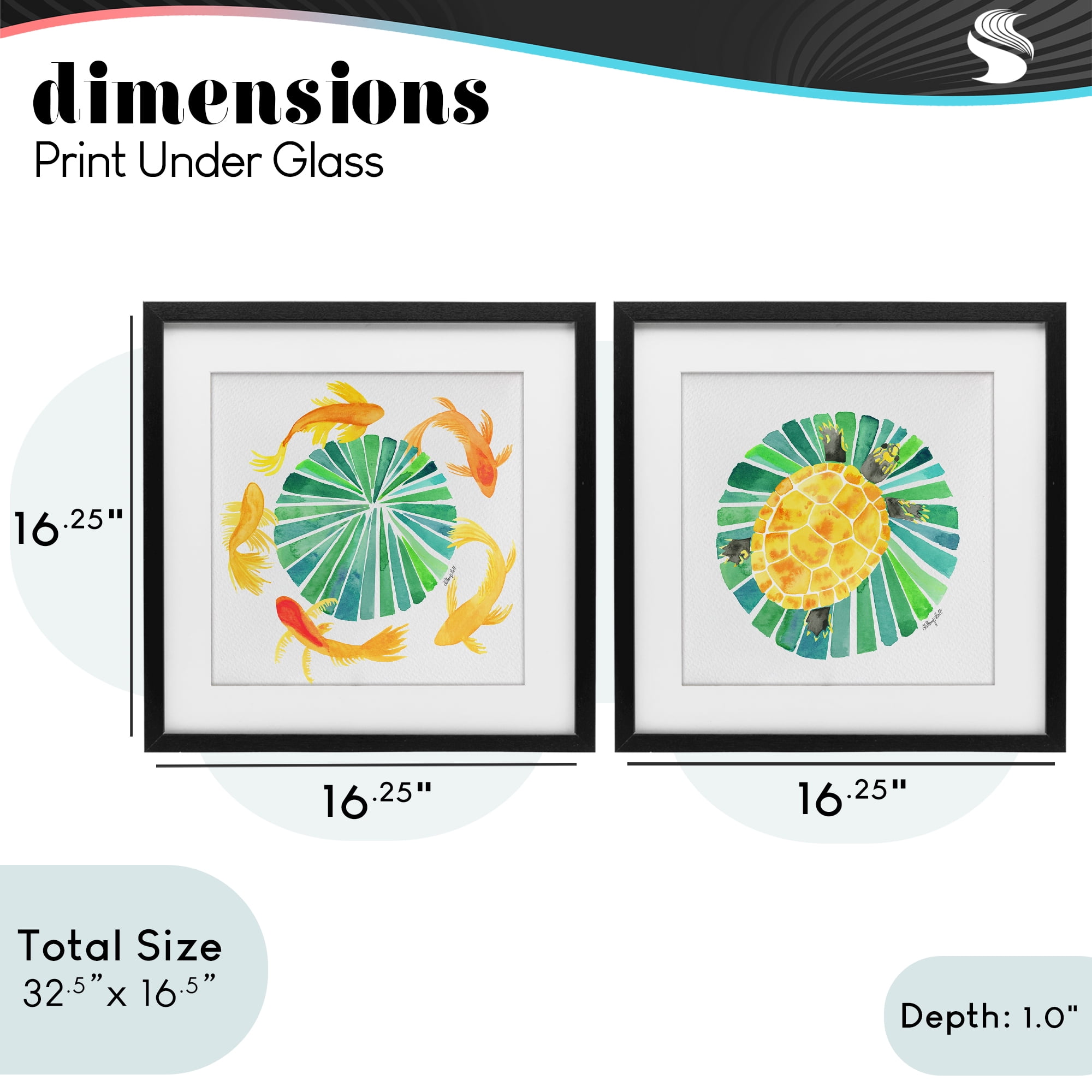 Stupell Industries Orbital Aquatic Creatures 2 Piece Black Framed Print Under Glass Set, design by Hillary Holt