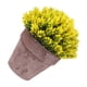 thumbnail image 5 of Maceta falsa Decoración de mesa de flores Flor artificial de plástico Bonsai Simulación de sala de estar Flor en maceta, Amarillo Inevent HA8892-02B, 5 of 6