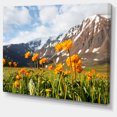 thumbnail image 2 of Mountain Meadow with Yellow Flowers - Large Flower Canvas Art Print, 2 of 3