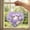 A, variant on Tong DIY Acrylic Puzzle Window – & Theme – Create A Dreamy Light And Shadow For Your Home (20cm/7.4inch)