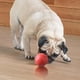 thumbnail image 5 of Juguetes interactivos para perros: juguete grande y mejorado para perros, se mueve automáticamente, rueda y salta de forma inteligente para perros y gatos, con vibración, 5 of 7