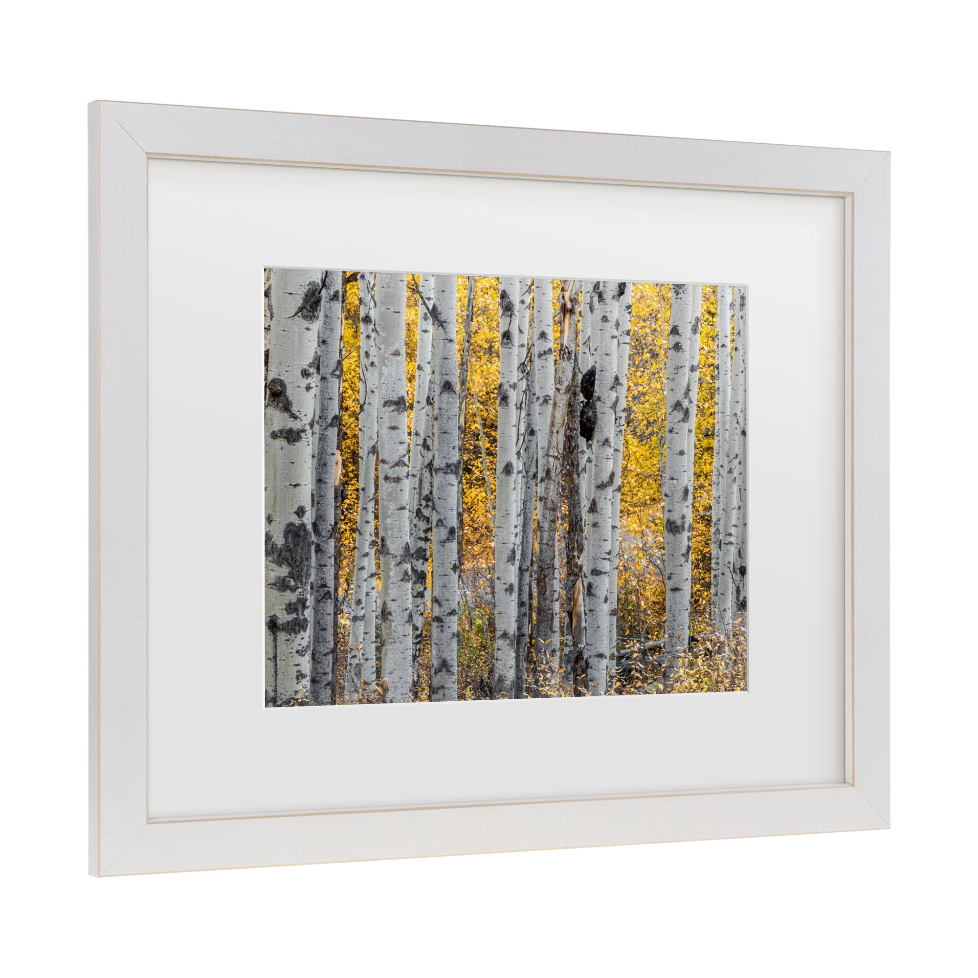 Trademark Fine Art 'Aspen Trees' Canvas Art by Pierre Leclerc