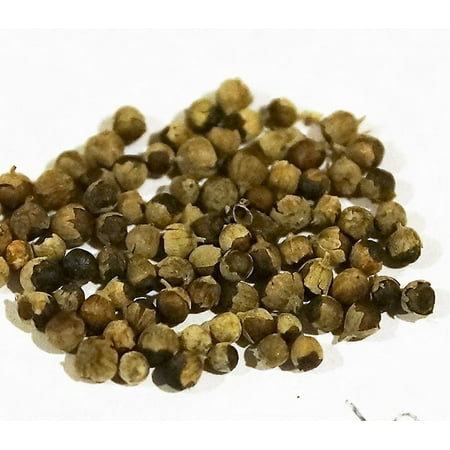 - Chaste Tree Whole Berry