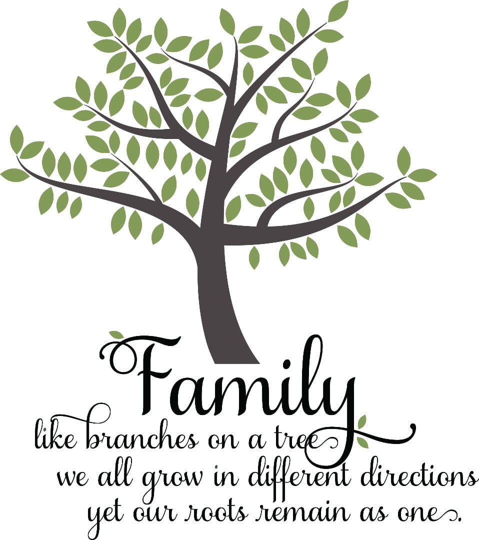 Our Family Branches of a Tree Roots Remain One 3 x 3 Inch Solid Pine Wood Rustic Magnet 