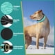 thumbnail image 4 of Collar para perros Mayerzon Martingale sin tirón para perros grandes, 4 of 8