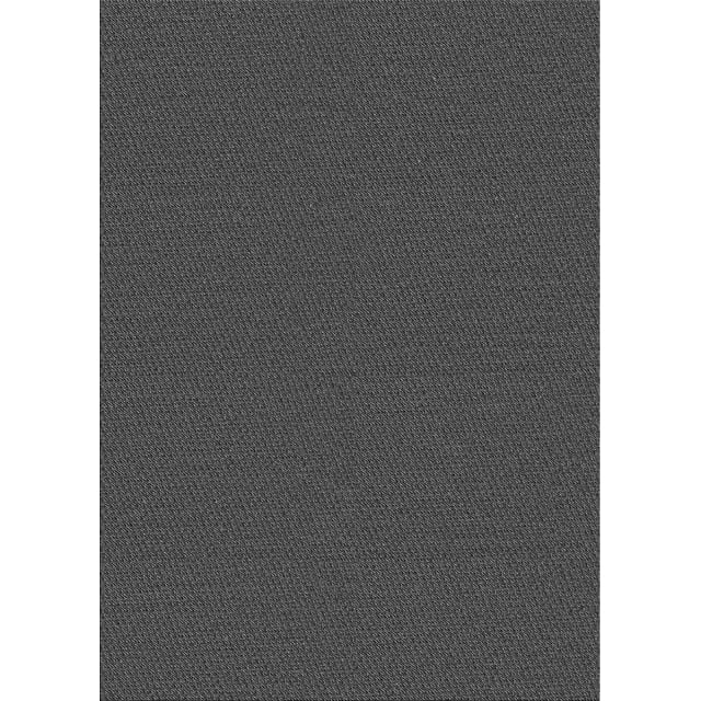 Ahgly Company Tapis d'Intérieur Lavables en Machine, Rectangle Transitionnel Gris Pâle, 7' x 9'