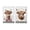 B, variant on Partheme 2 Pcs Funny Cow Kitchen Towels, Highland cattle Flower Decorative Absorbent Microfiber Dish Cloth Tea Towel, Soft Hand Towels for Farmhouse Home Bathroom Kitchen Decor, Cow Gifts , C