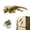 E, variant on FGJHF 3D Printed Articulated Gecko Movable Joints Cool Animal For Fridge And Metal