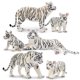 thumbnail image 1 of Figuras de animales Toymany White Tigers Family, 6 unidades, 1 of 9