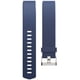 thumbnail image 2 of Para Charge 2 Reemplazo Reloj Inteligente Bandas Correa Pulsera Pulsera, 2 of 7