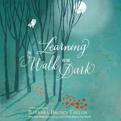 Learning to Walk in the Dark - Audiobook