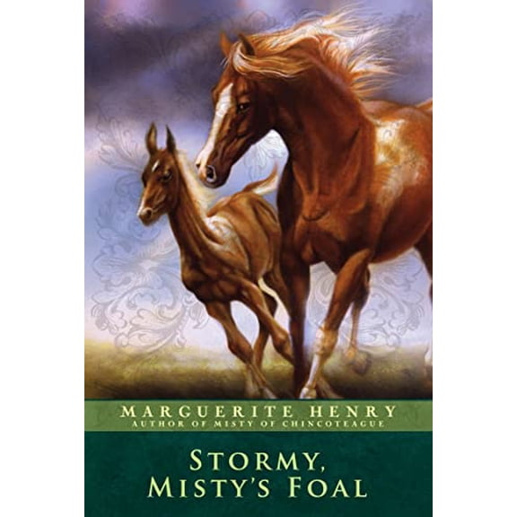 Pre-Owned Stormy, Misty's Foal (Paperback) 1416927883 9781416927884