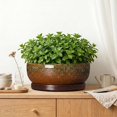 thumbnail image 3 of Wliror Succulent Planter - 13 Inch Ceramic Bonsai Pots with Drainage Hole and Saucer, Speckle Brown, 3 of 7