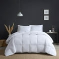 thumbnail image 3 of True North by Sleep Philosophy Polyester Down Comforter with White TN10-0489, 3 of 5