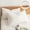 White#S, variant on Byujiro 1 Pack Removable Bed Pillow for Sleeping 20x36 Inches Filled with Ultras Fine Fiber Pillow Insert for Minimalist Design