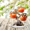 thumbnail image 4 of Decoración de Árbol Frutal, Arte 2D, Hogar, Sala de Estar, Entrada, Vinoteca, Regalo, 4 of 7