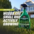 thumbnail image 6 of Ortho Nutsedge Killer for Lawns, Controls Over 50 Listed Weeds, 24 fl. oz., 6 of 10