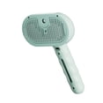 thumbnail image 1 of Laonim Cat Grooming Steam Brush, 1 of 9