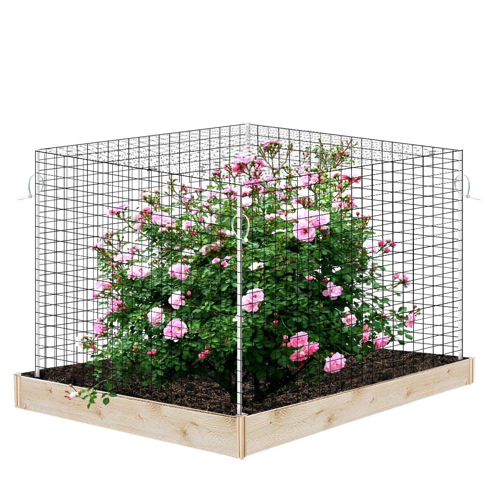 Agfabric Insect Bird Netting for Protecting Plants and Fruit Trees from ...