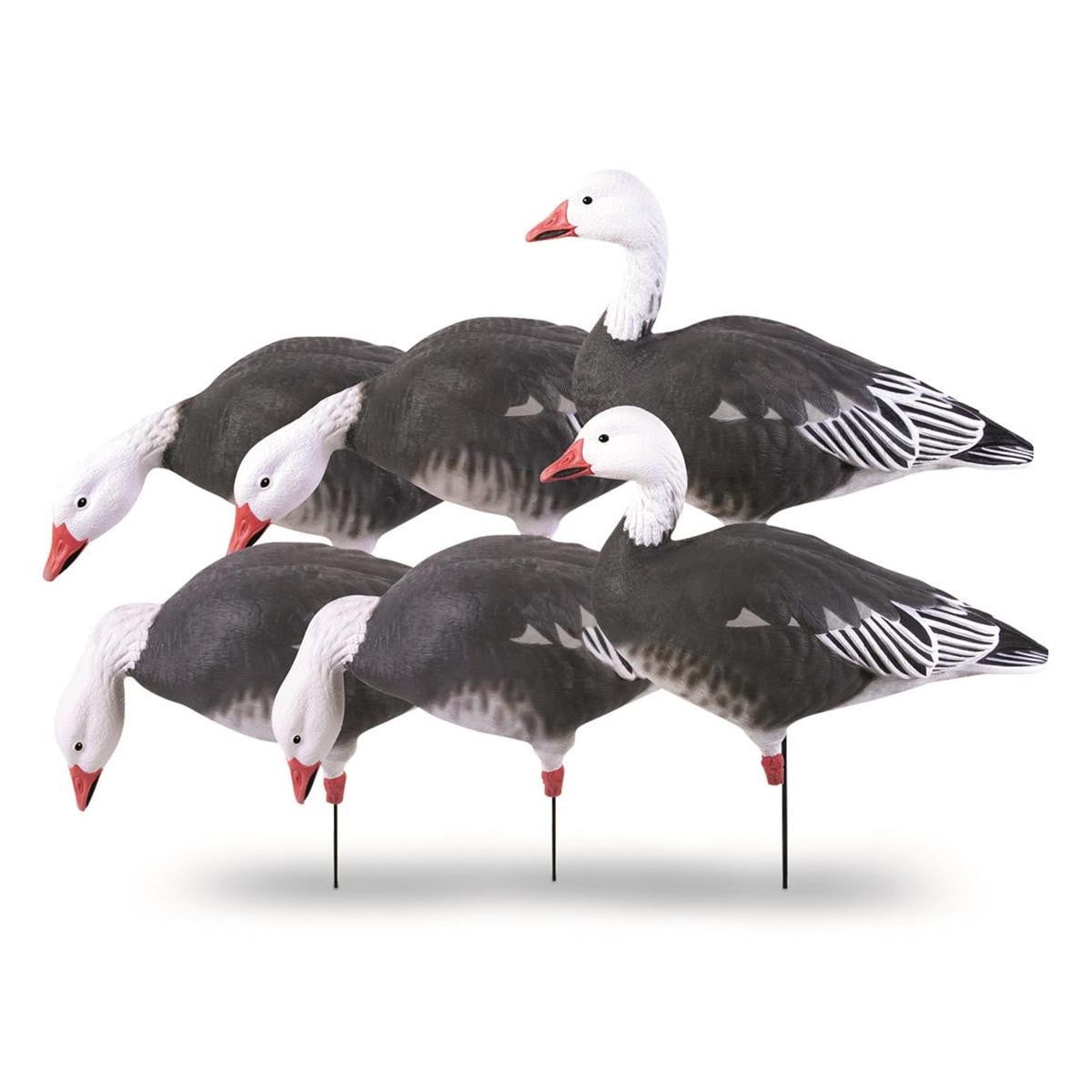 GHG Decoy Systems Pro-Grade Full Body Blue Goose Harvester Decoys 6 Pack