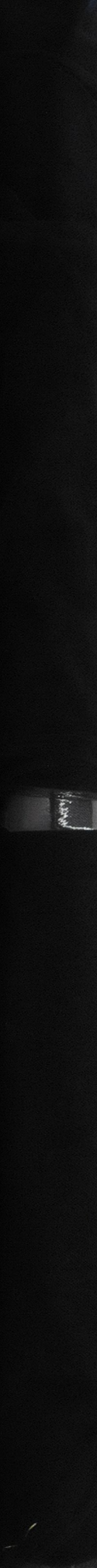 Mandel Sparkle Tulle Black - image 3 of 5