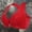 Red, variant on Women's Floral Lace Front Closure Full Figure Bra, JIANLAI Racerback Cross Strap Underwire Support Plus Size Bra Full Coverage Bras for Women