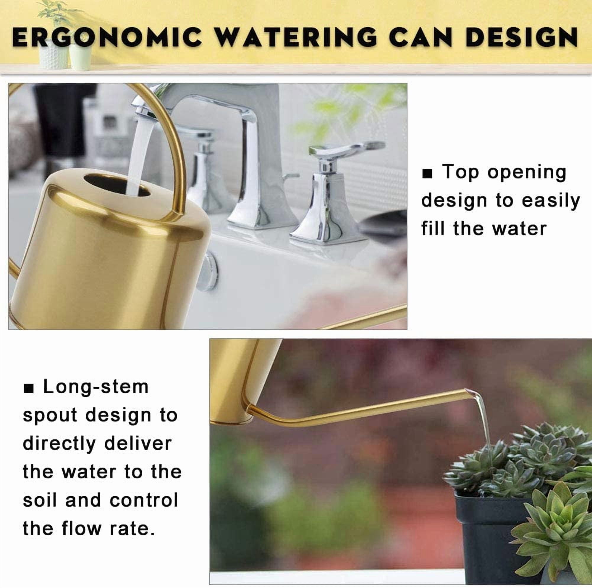 Watering Can Indoor Outdoor Stainless Steel Cans for House Plants Long Spout Water Succulent Bonsai Garden Flower(40oz/1300ml)