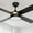 Gold, variant on Dextrus 48in Black Ceiling Fans with Light and Remote, 4 Blades, Dimmable Fanlight for Indoor Outdoor, Light Fan with Stepless Color Temperature, Memory Function, Night Light Mode