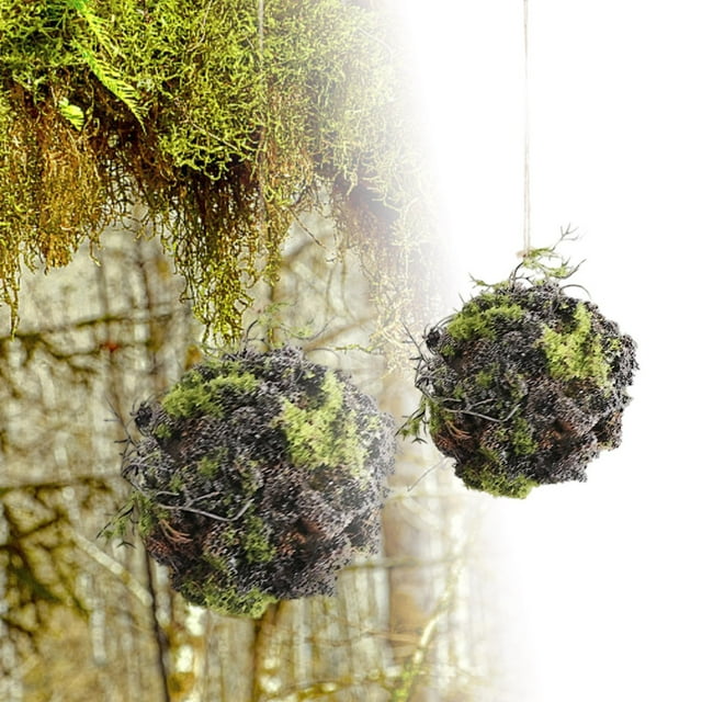 Greenery for Versatile Indoor and Outdoor Decorative Displays and Centerpieces