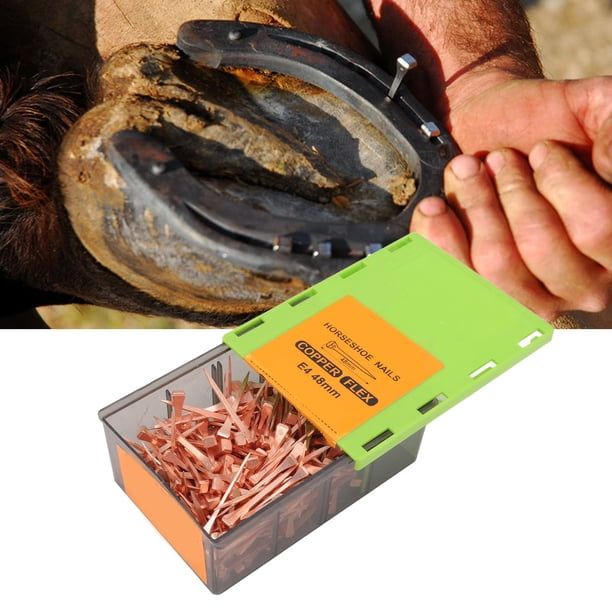 250 Clavos de Herradura Chapados en Cobre para Herrar con Caja de Plástico Resistencia a la Tracción Fácil de Usar Cómodo de Transportar Buen Rendimiento Ampliamente ANGGREK Otros