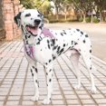 thumbnail image 5 of Correa para el pecho ajustable de tela Oxford para perros con chaleco reflectante tipo breakaway de Purple Pet Supplies., 5 of 5